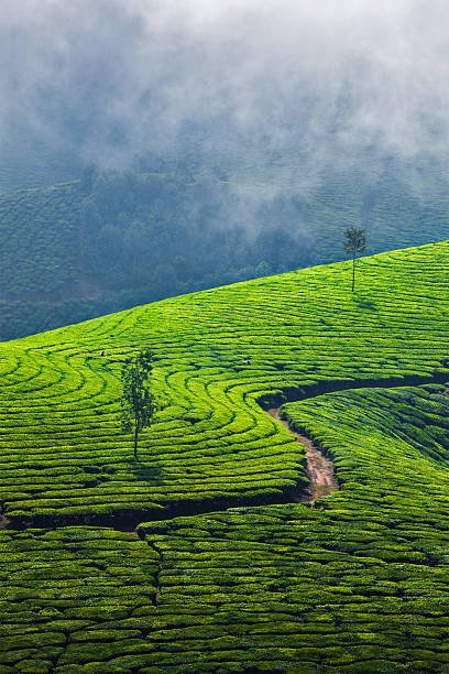 Munnar