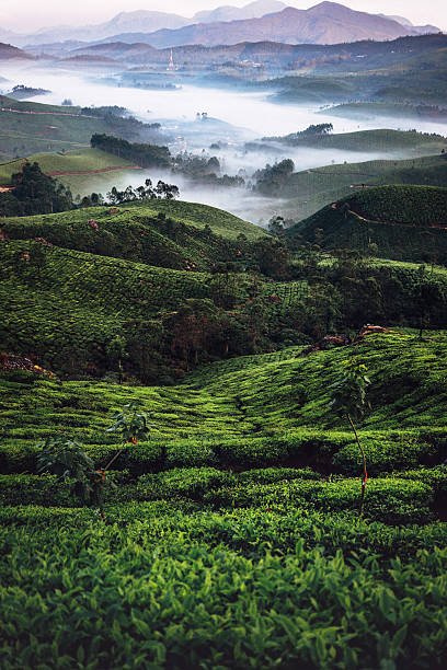 Vagamon